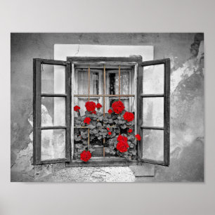 window-477937 window house black and white flowers poster