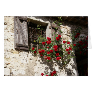 Window and Roses