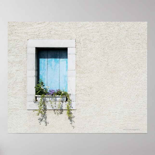 Window and window-box of flowers in plain wall poster (Front)
