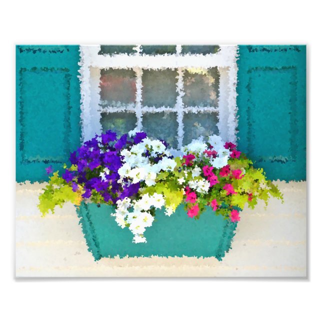 Window Box By The Sea Photo Print (Front)