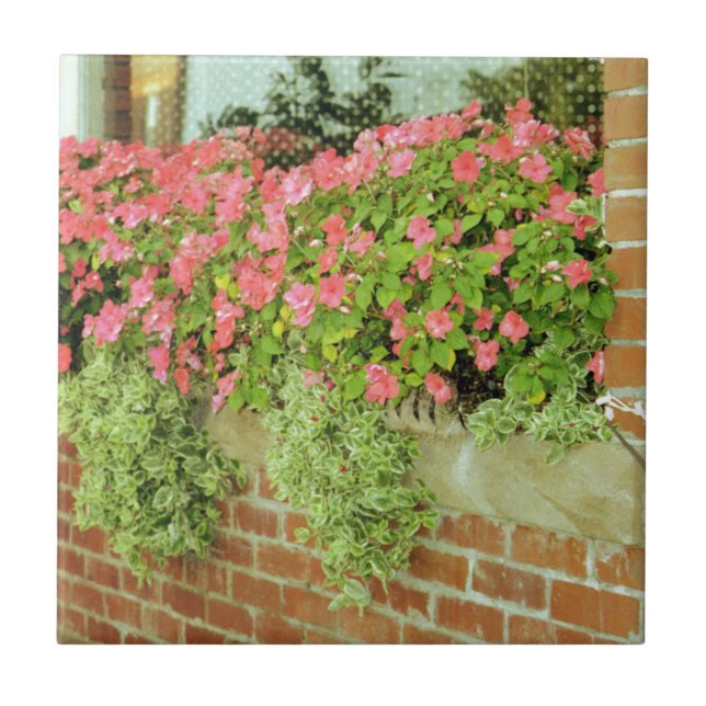 Window Box Flowers Tile (Front)