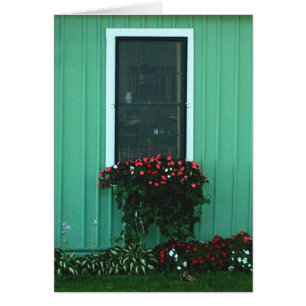 Window box of Impatients