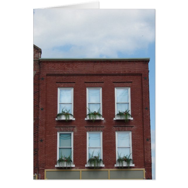 Window Boxes (Front)