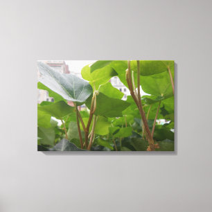Window Canvas Print