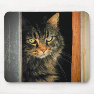 Window Cat Mouse Mat