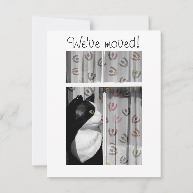 Window Cat New Home Announcement Card (Front)
