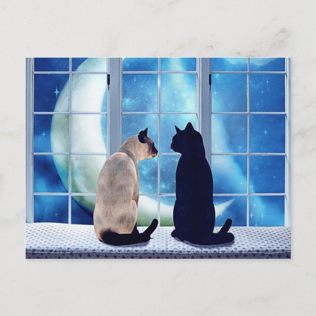 Window Cats Postcard (Front)