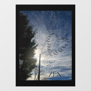 Window Cling