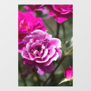 Window Cling - Beautiful Roses Photography
