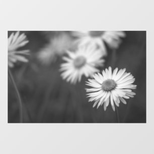 Window Cling - Daisies Flower BW