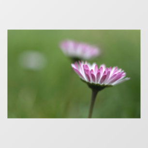 Window Cling - Daisy Elegance