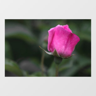 Window Cling - Elegant Pink Rosebud