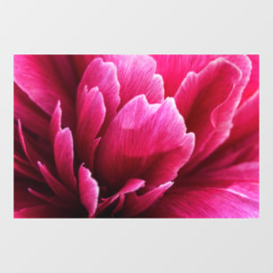 Window Cling - Pink Peony Flower Petals