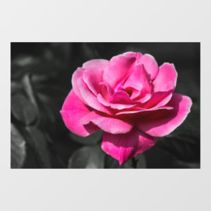 Window Cling - Pink Rose Eleganace