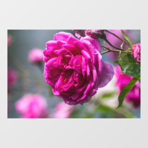 Window Cling - Pink Rose Photography