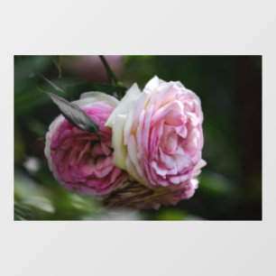 Window Cling - Pink Roses - Blushing Duet