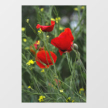 Window Cling - Red Poppies Photography