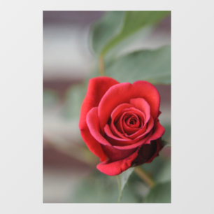 Window Cling - Red Rose Elegance Photography