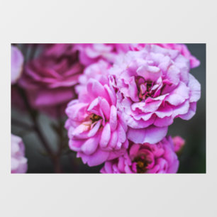 Window Cling - Soft Pink Roses