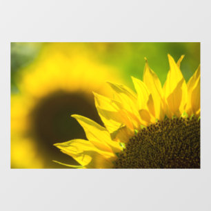 Window Cling - Sunflower Floral Nature Photography