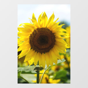 Window Cling - Sunflower Isolated