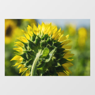 Window Cling - Sunflower Reverse Perspective