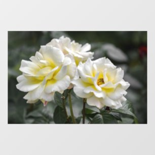 Window Cling - White Rose Photography