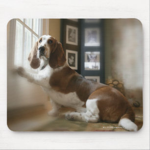 Window dog mouse mat
