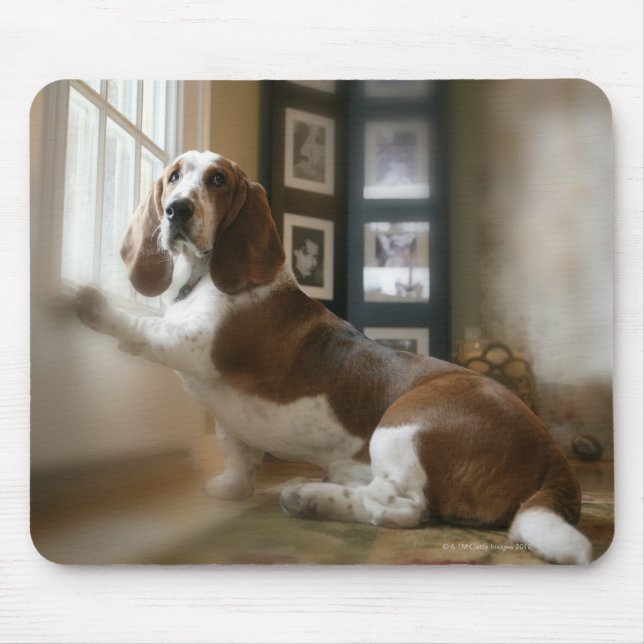 Window dog mouse mat (Front)