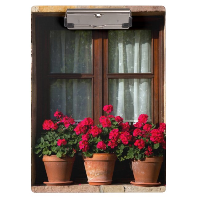 Window flower pots in village clipboard (Front)