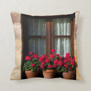 Window flower pots in village cushion