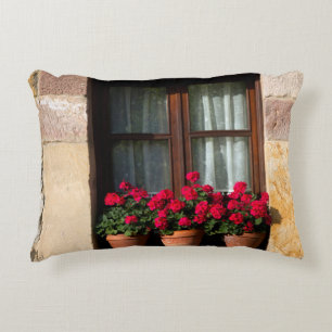 Window flower pots in village decorative cushion