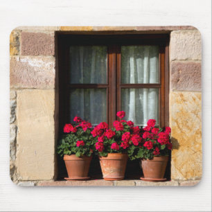 Window flower pots in village mouse mat