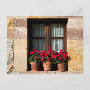Window flower pots in village postcard