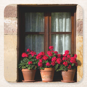 Window flower pots in village square paper coaster
