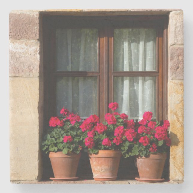Window flower pots in village stone coaster (Front)