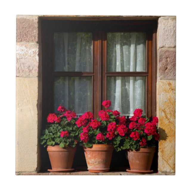 Window flower pots in village tile (Front)