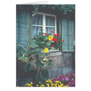 "Window, Flowers & Shutters"