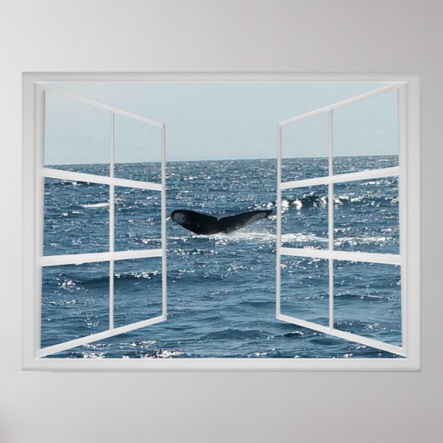 Window Frame with Whale Tail Poster (Front)