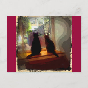 Window Gazing Kitties CB Postcard