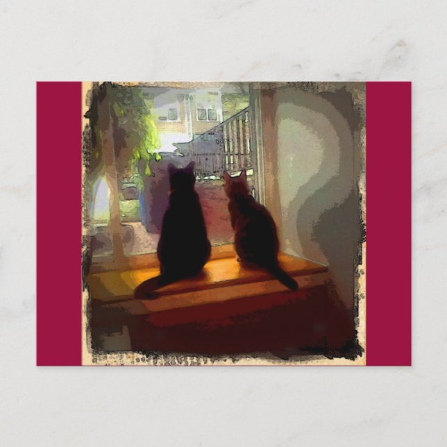Window Gazing Kitties CB Postcard (Front)