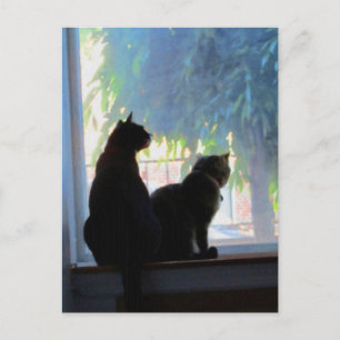 Window Gazing Kitties Postcard