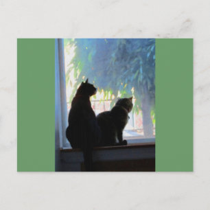 Window Gazing Kitties Postcard