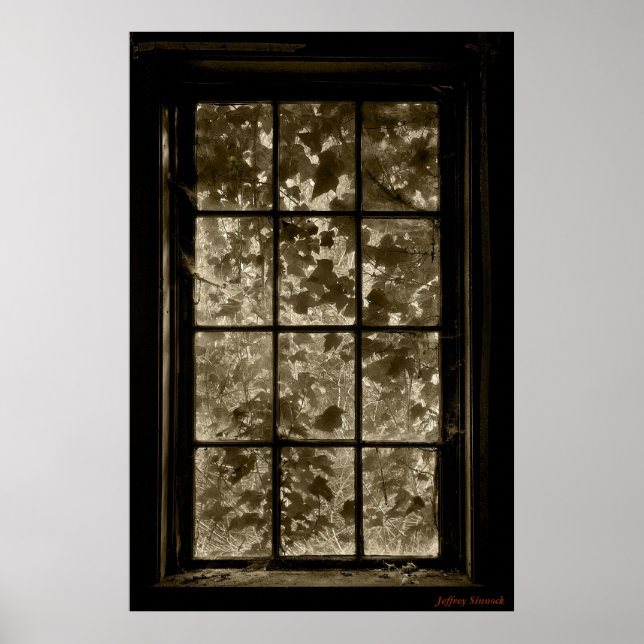 Window Ivy Sepia, Jeffrey Sinnock Poster (Front)