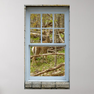 Window looking out Deer Doe Poster