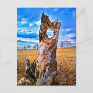 Window of Time Postcard