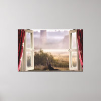 Window open misty morning with barn owl