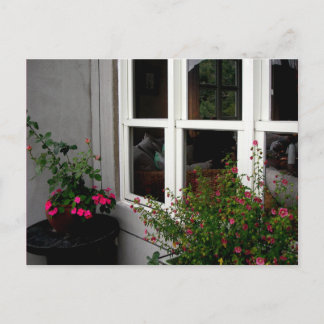 Window/ Postcard