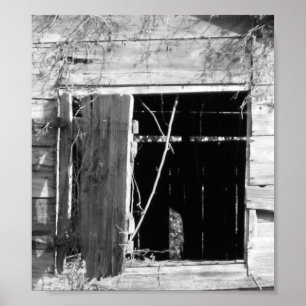 window poster
