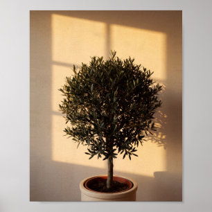 Window Shadow Art No. 1 Vintage Painting Poster